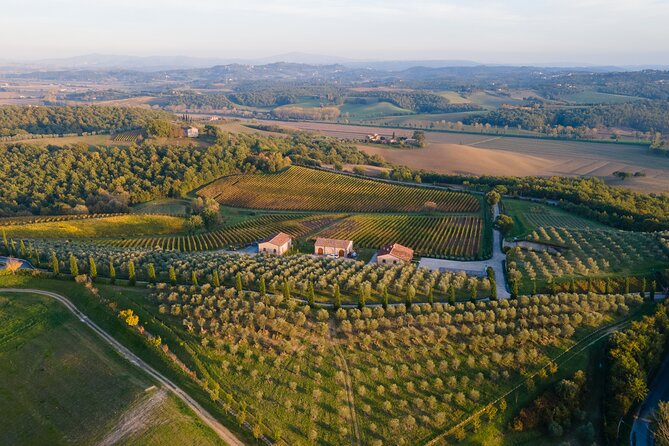2 Hours Visit and Wine Tasting with tastings in Val D'Orcia - Six wines in the Poggio del Moro tasting room
