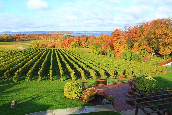 5-Hour Traverse City Wine Tour: 4 Wineries on Old Mission Peninsula - Why this Old Mission Peninsula tour works