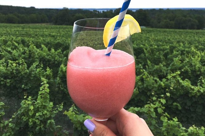 5-Hour Traverse City Wine Tour: 4 Wineries on Old Mission Peninsula - Brys Estate, broad views and a first come, first served wrinkle