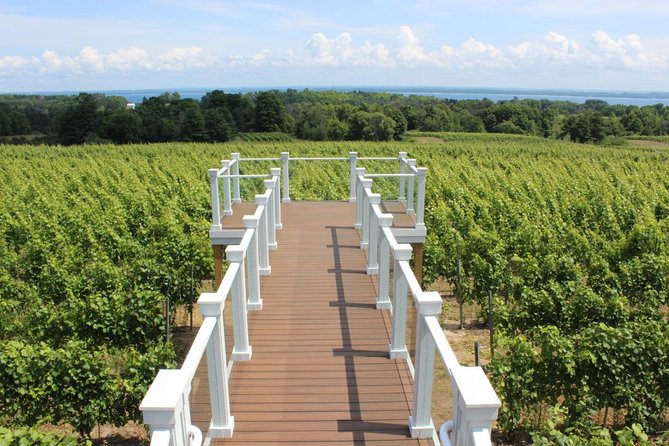 5-Hour Traverse City Wine Tour: 4 Wineries on Old Mission Peninsula - The bus ride, group mood, and guide style