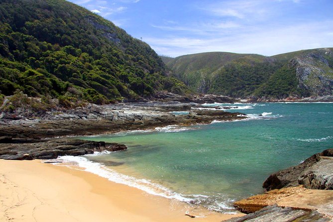 7 Day Garden Route to Addo, Cape Point and Winelands Combo tour - Day 3: Addo elephants and free time at Jeffreys Bay