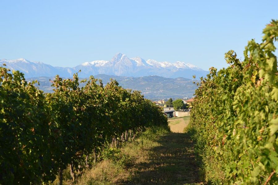 Abruzzo: Historic Cellar Wine Tour and Tasting - Key points at a glance