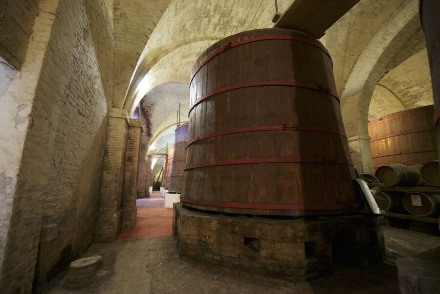 Abruzzo: Historic Cellar Wine Tour and Tasting - Who should book this cellar tour?