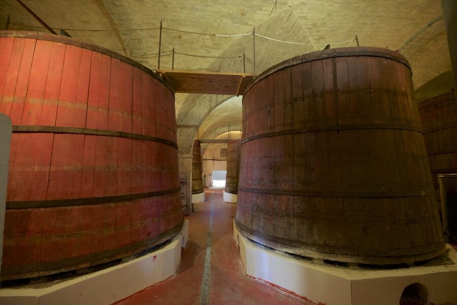 Abruzzo: Historic Cellar Wine Tour and Tasting - Why Cantina Mazzarosa makes a good Abruzzo stop