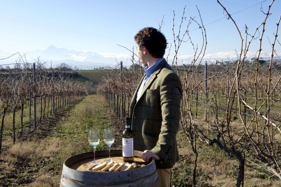 Abruzzo: Historic Cellar Wine Tour and Tasting - Inside the cellar, where old methods still matter