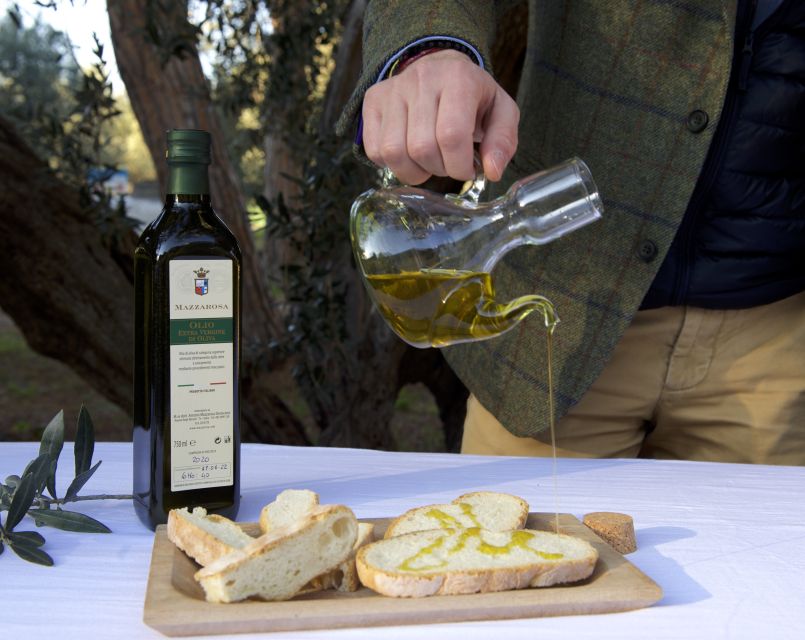 Abruzzo: Historic Cellar Wine Tour and Tasting - Is $41 a fair price?
