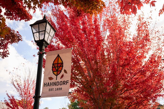 Adelaide Highlights, Hahndorf & McLaren Vale Wine Tasting and Sightseeing Tour - The scenic drive through the Onkaparinga Hills