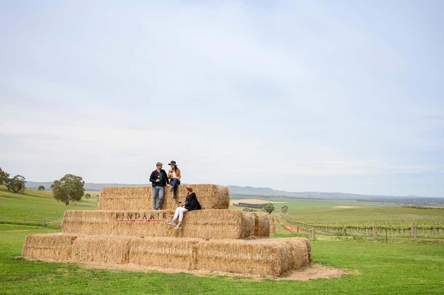 Adelaide: Small Group Tour of Barossa, Wineries with Lunch - The basic shape of the day