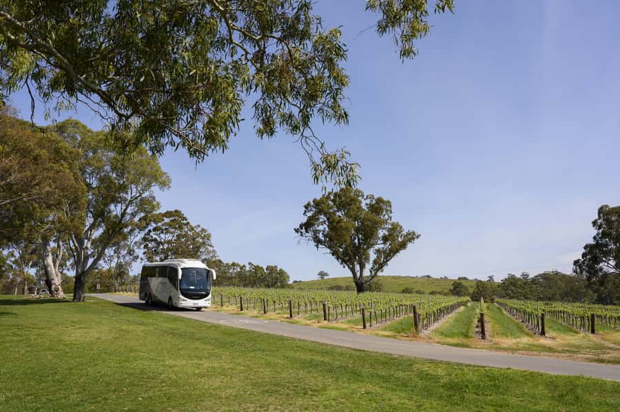 Adelaide: Small Group Tour of Barossa, Wineries with Lunch - Maggie Beer’s Farm Shop is a short final browse