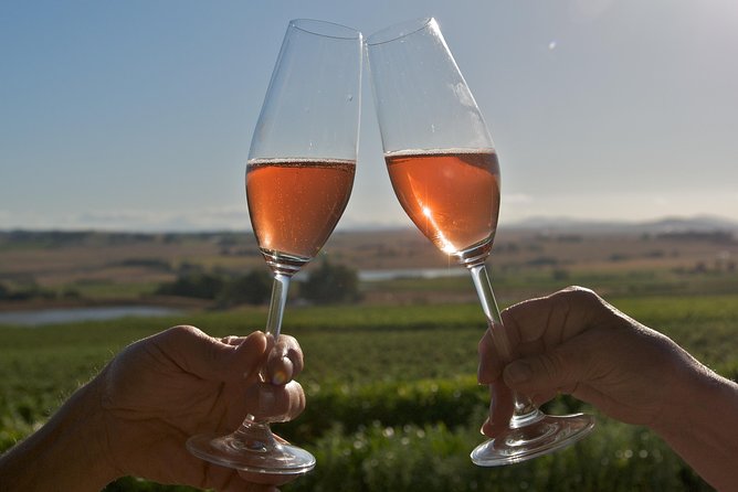 African Story Wine Tours in the Cape Winelands - Four wineries, with different personalities