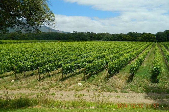 African Story Wine Tours in the Cape Winelands - Guides who keep the day grounded