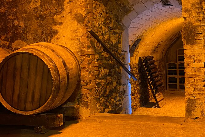 Afternoon Champagne visit & tasting class near Epernay - Who should book this afternoon experience?