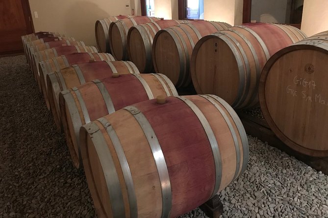 Afternoon Wine Tour to Chateauneuf du Pape from Avignon - How much wine do you actually taste?