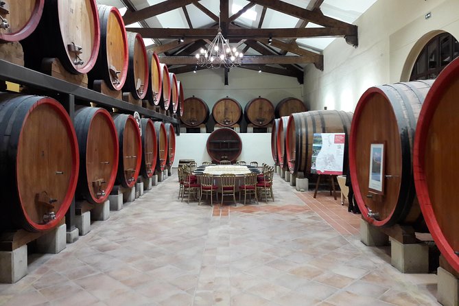 Afternoon Wine Tour to Chateauneuf du Pape from Avignon - Is $127 a fair price?