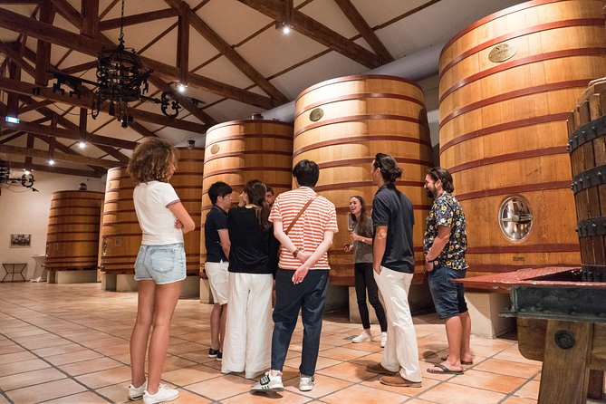 Afternoon Wine Tour to Chateauneuf du Pape from Avignon - Who will enjoy this tour most?