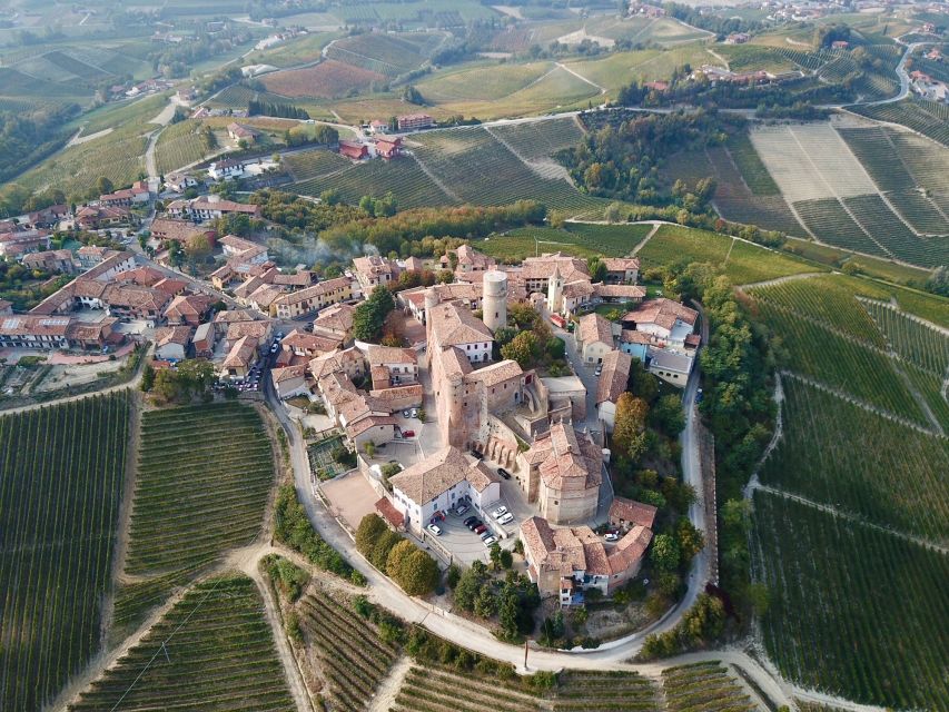 Alba: Truffle Hunting with Cheese, Truffle, & Wine Tastings - Key points at a glance
