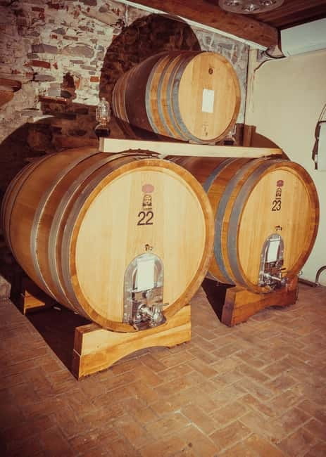 Alba: Wine Tasting and Tour with a Local Producer - A Small Estate Above Alba