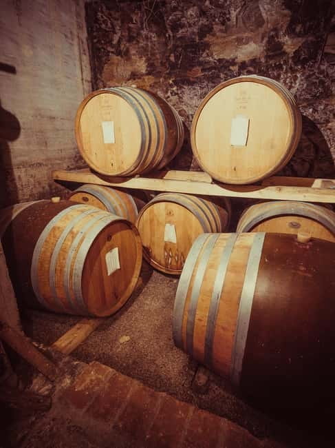 Alba: Wine Tasting and Tour with a Local Producer - Weather, Clothing, and the View