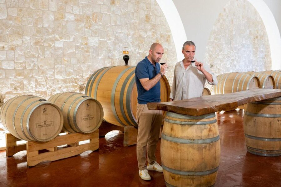 Alberobello: Winery Tour with Wine and Food Tasting - What this Alberobello winery visit is really like