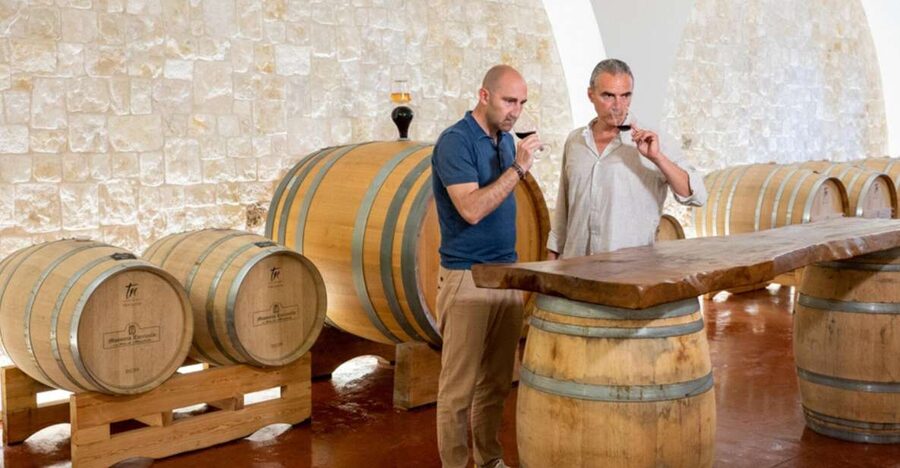 Alberobello: Winery Tour with Wine and Food Tasting - The four-wine tasting, course by course