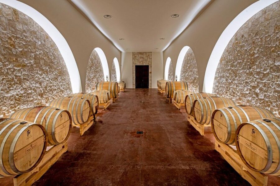 Alberobello: Winery Tour with Wine and Food Tasting - Why the food pairings add real value