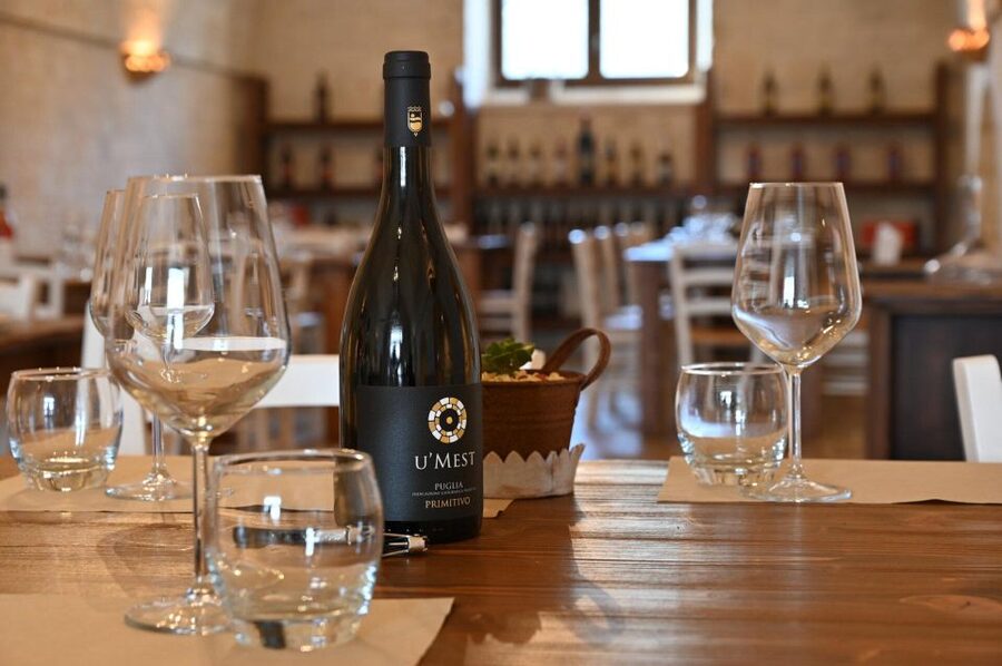 Alberobello: Winery Tour with Wine and Food Tasting - Booking advice and cancellation flexibility