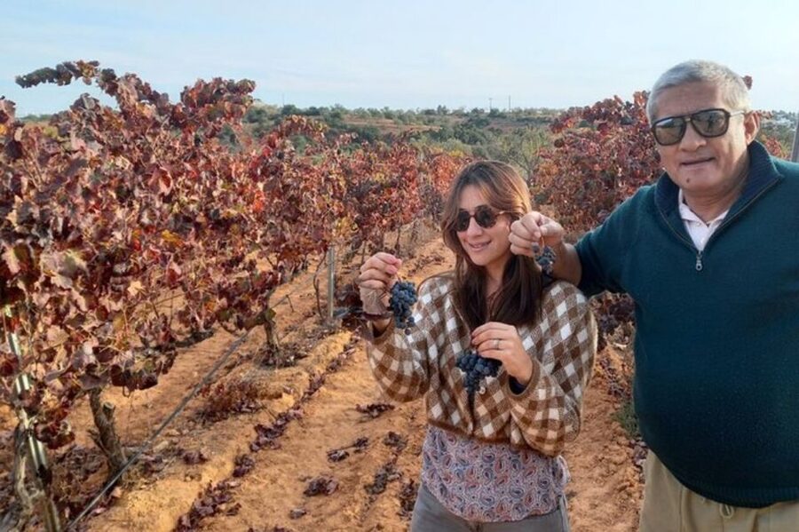 Albufeira/Vilamoura: Winery Tour with Wine Tasting and Tapas - Why this Albufeira winery trip works so well