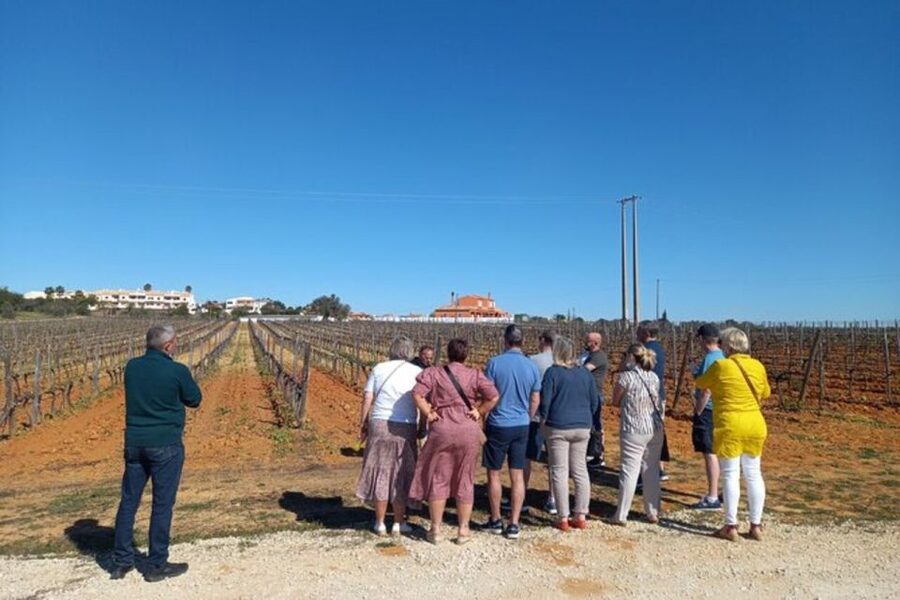 Albufeira/Vilamoura: Winery Tour with Wine Tasting and Tapas - Portuguese tapas with the wine
