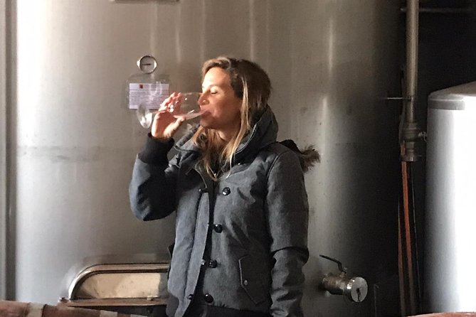 Albufeira Wine Tasting: Boutique Winery Tour & Historic Silves - The guides are a major part of the value