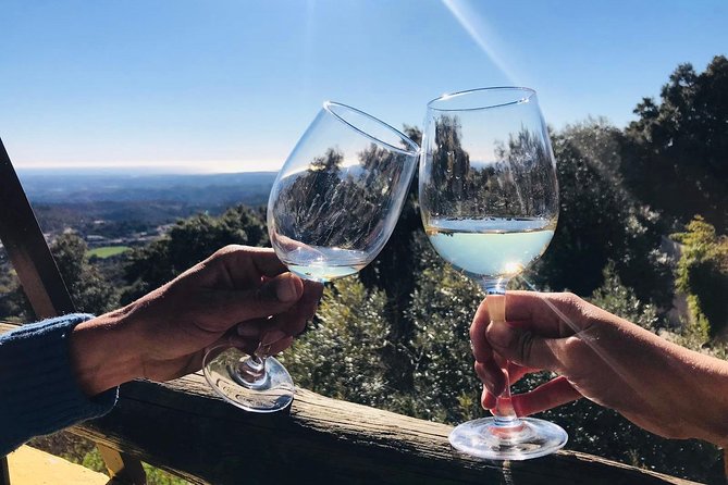 Albufeira Wine Tour: 2 Vineyards, 6 Tastings & Historic Silves - Paxá Wines: modern Algarve character and local grapes
