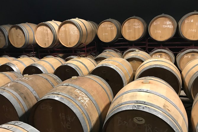 Albufeira Wine Tour: 2 Vineyards, 6 Tastings & Historic Silves - Who should book this tour?