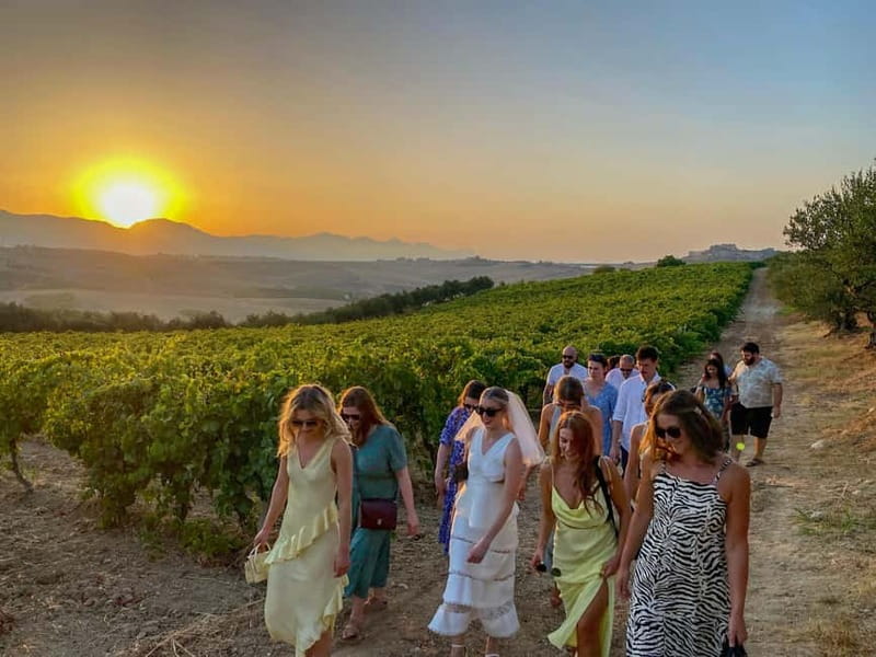 Alcamo: Natural Wine & Olive Oil Tasting - Sicily - A three-hour taste of the Alcamo countryside