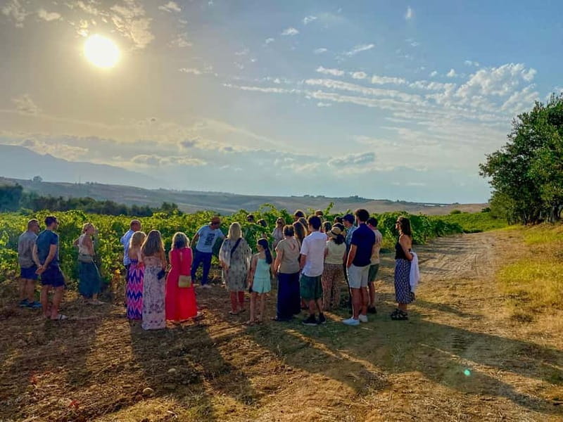 Alcamo: Natural Wine & Olive Oil Tasting - Sicily - The setting and the people make the difference