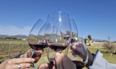 Alcúdia/Can Picafort: Guided Vineyard Visit and Wine Tasting