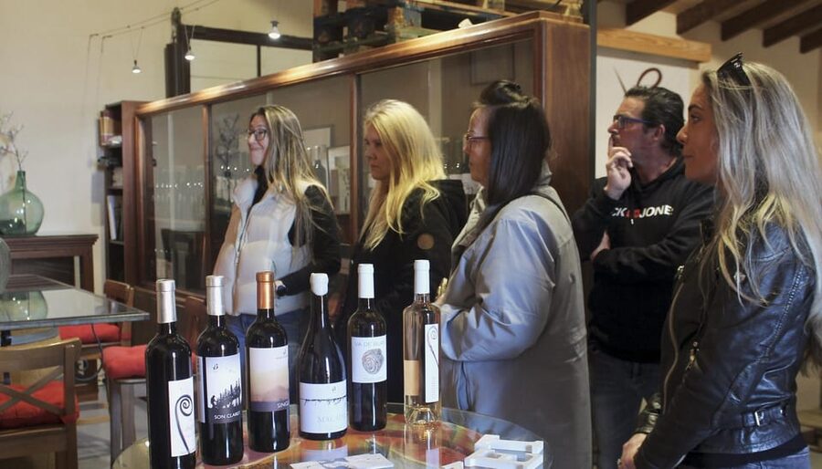 Alcúdia/Can Picafort: Guided Vineyard Visit and Wine Tasting - How much value do you get for $58?