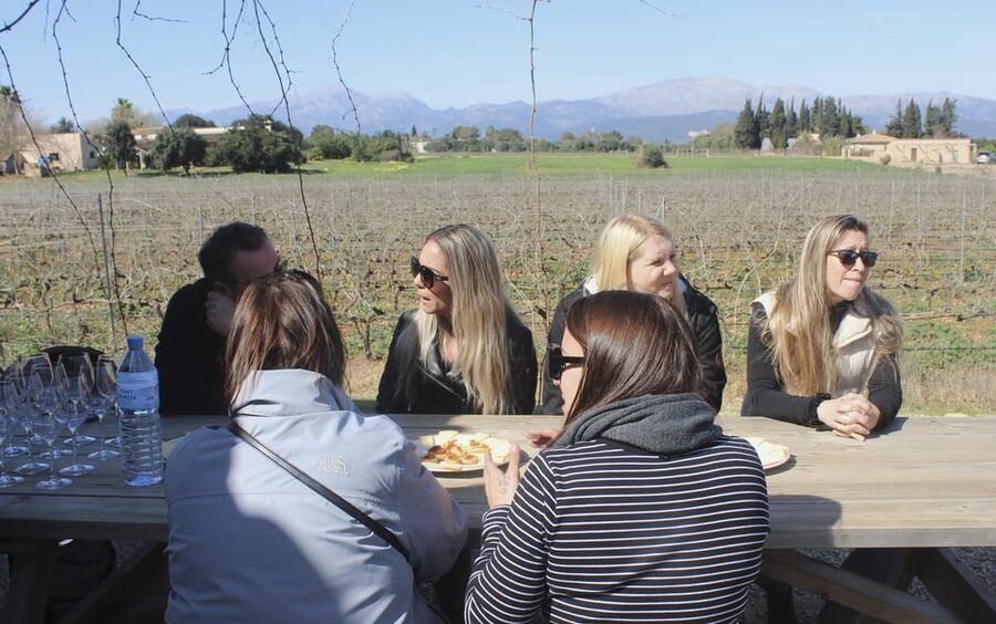 Alcúdia/Can Picafort: Guided Vineyard Visit and Wine Tasting - Who should book this wine tour?