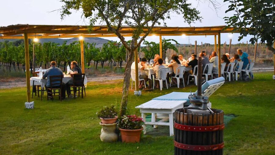 Alghero: Dinner in the Vineyard with Wine - Key points to know before booking