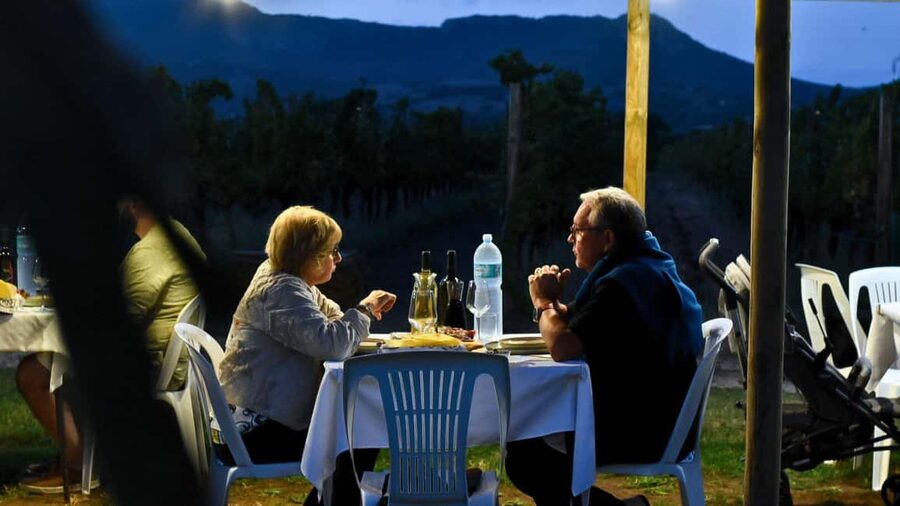Alghero: Dinner in the Vineyard with Wine - Pairing the dinner with wine made on the property