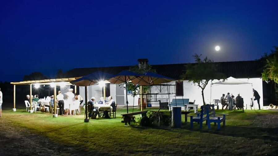 Alghero: Dinner in the Vineyard with Wine - Dietary needs and menu planning