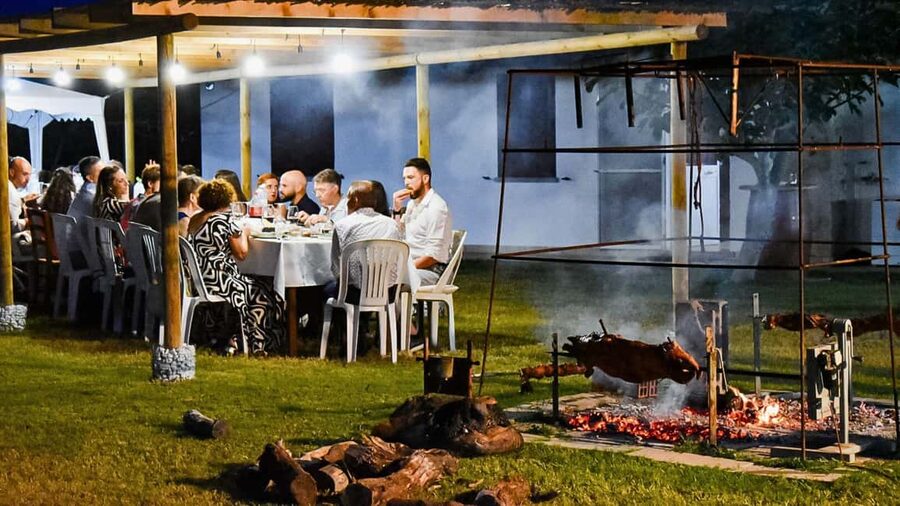 Alghero: Dinner in the Vineyard with Wine - Is $90.63 a good price?