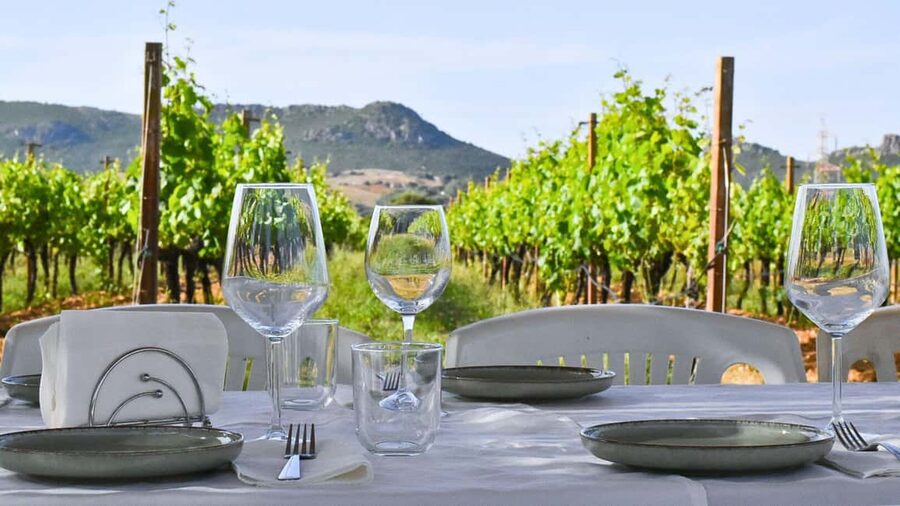 Alghero: Dinner in the Vineyard with Wine - Arriving at the winery near Porto Ferro