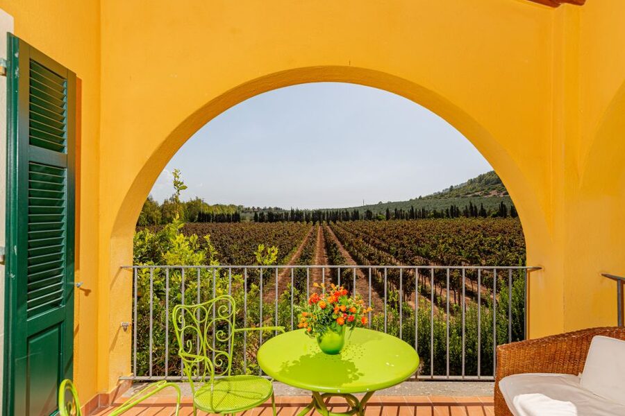 Alghero: Wine and Olive Oil Tasting at a Local Farm - What makes this tasting worth your time