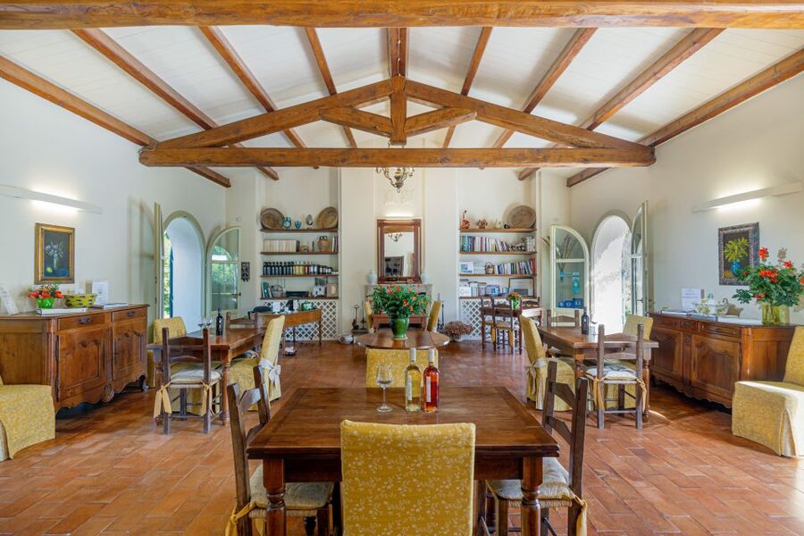 Alghero: Wine and Olive Oil Tasting at a Local Farm - Five wines, five small lessons