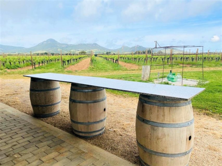 Alghero: wine tasting w/ local aperitif in the vineyard - What you taste in the two glasses
