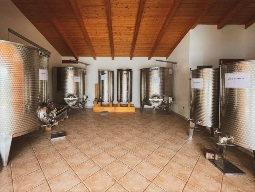 Alghero: wine tasting w/ local aperitif in the vineyard - The vineyard walk and small cellar visit