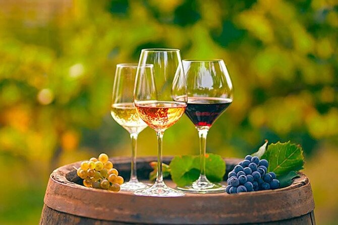 Alicante: Old Winery with Tastings & Gaudí's style of Church - Exploring the old estate and Bodega Casa Sicilla