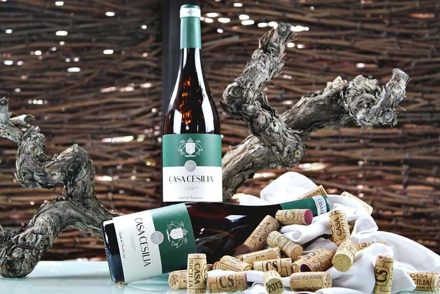 Alicante: Old Winery with Tastings & Gaudí's style of Church - Should you book it?