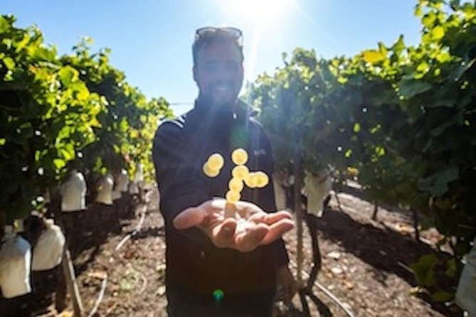 Alicante: Small-Group Countryside Wine Tour with 4 Tastings - Leaving Alicante for the Vinalopó wine region