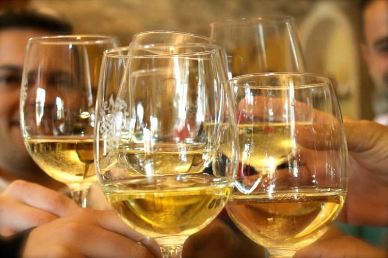 Alicante: Small-Group Countryside Wine Tour with 4 Tastings - Four wines, local snacks, and a slower hour