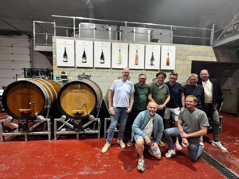 Alicante; Wine Tour, Wineries, Food and Transfer included - Why this Alicante wine tour is worth considering